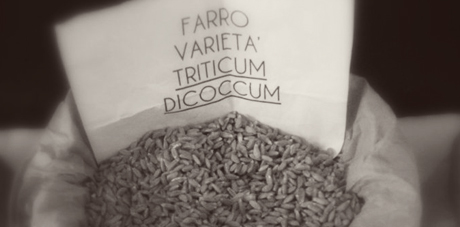 template_immagine_in_evidenza